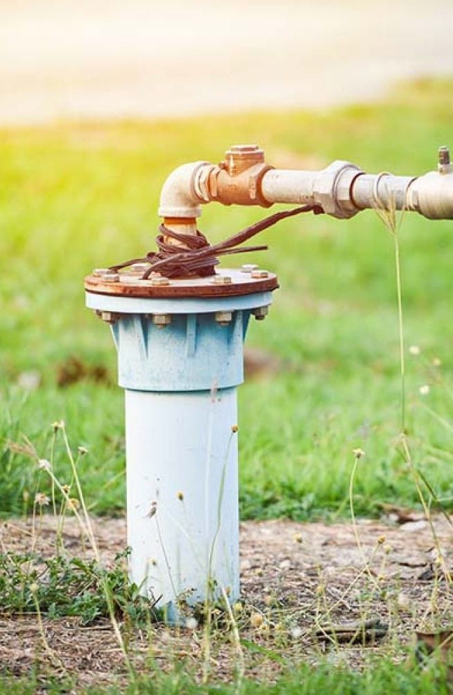 A residential well head with PVC pipe and spigot in a Florida yard.